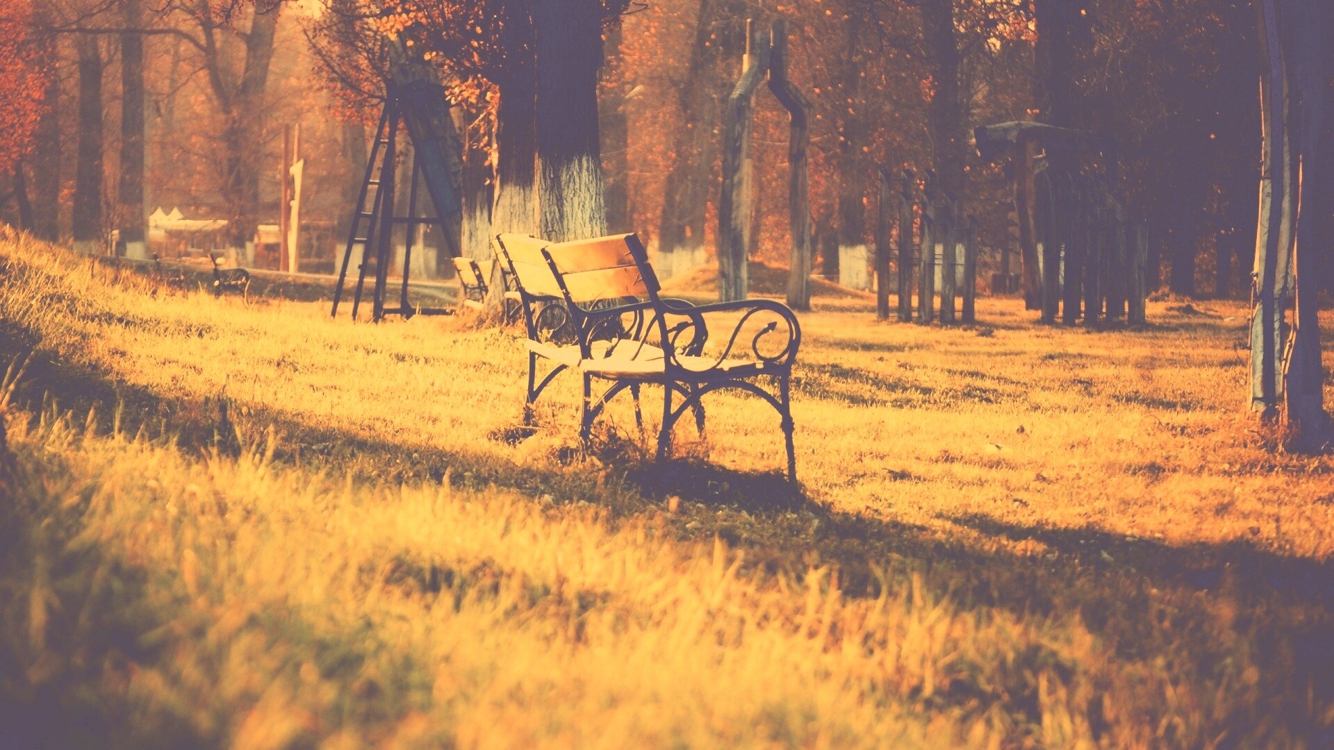 Скаймейка в осеннем парке обои