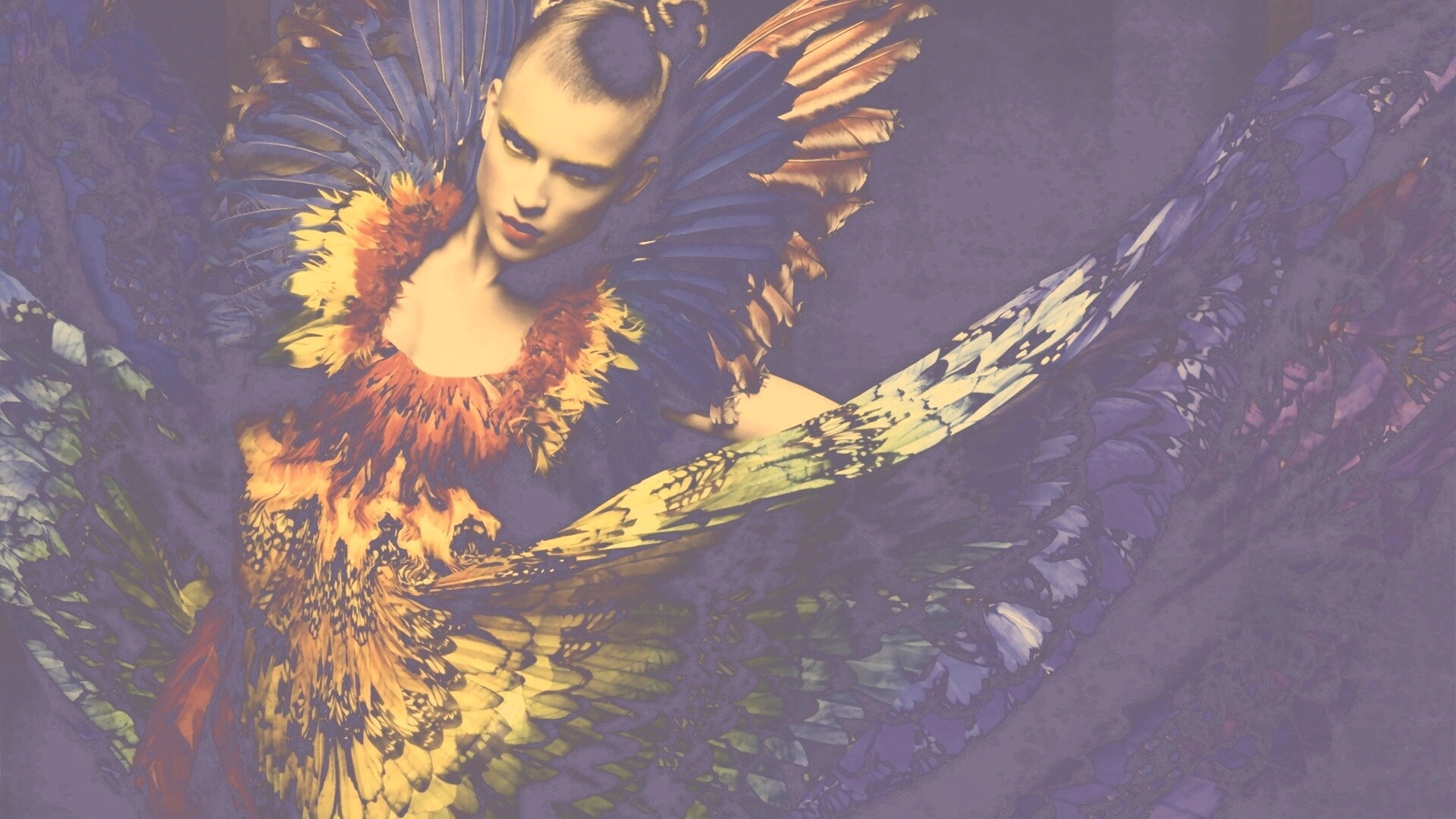 Костюм жар птицы обои