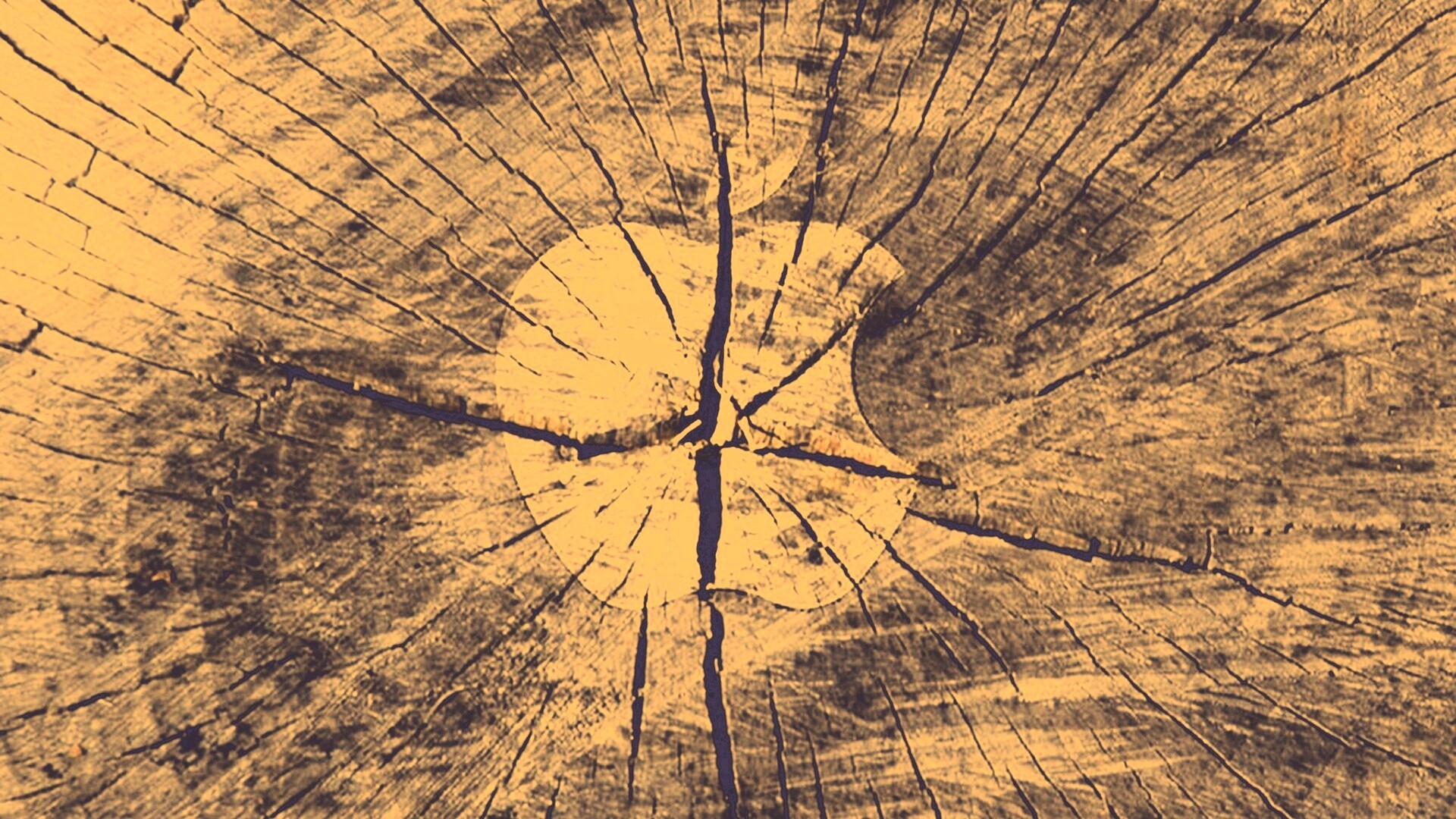 Логотип Apple на бревне обои