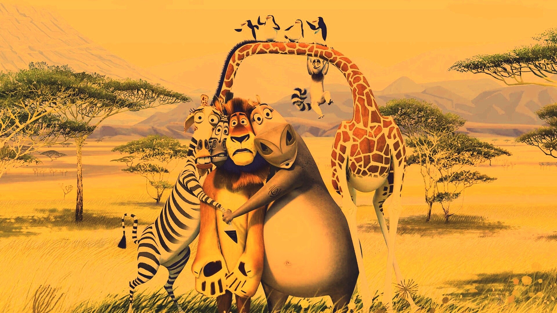 Герои мультфильма Мадагаскар обои