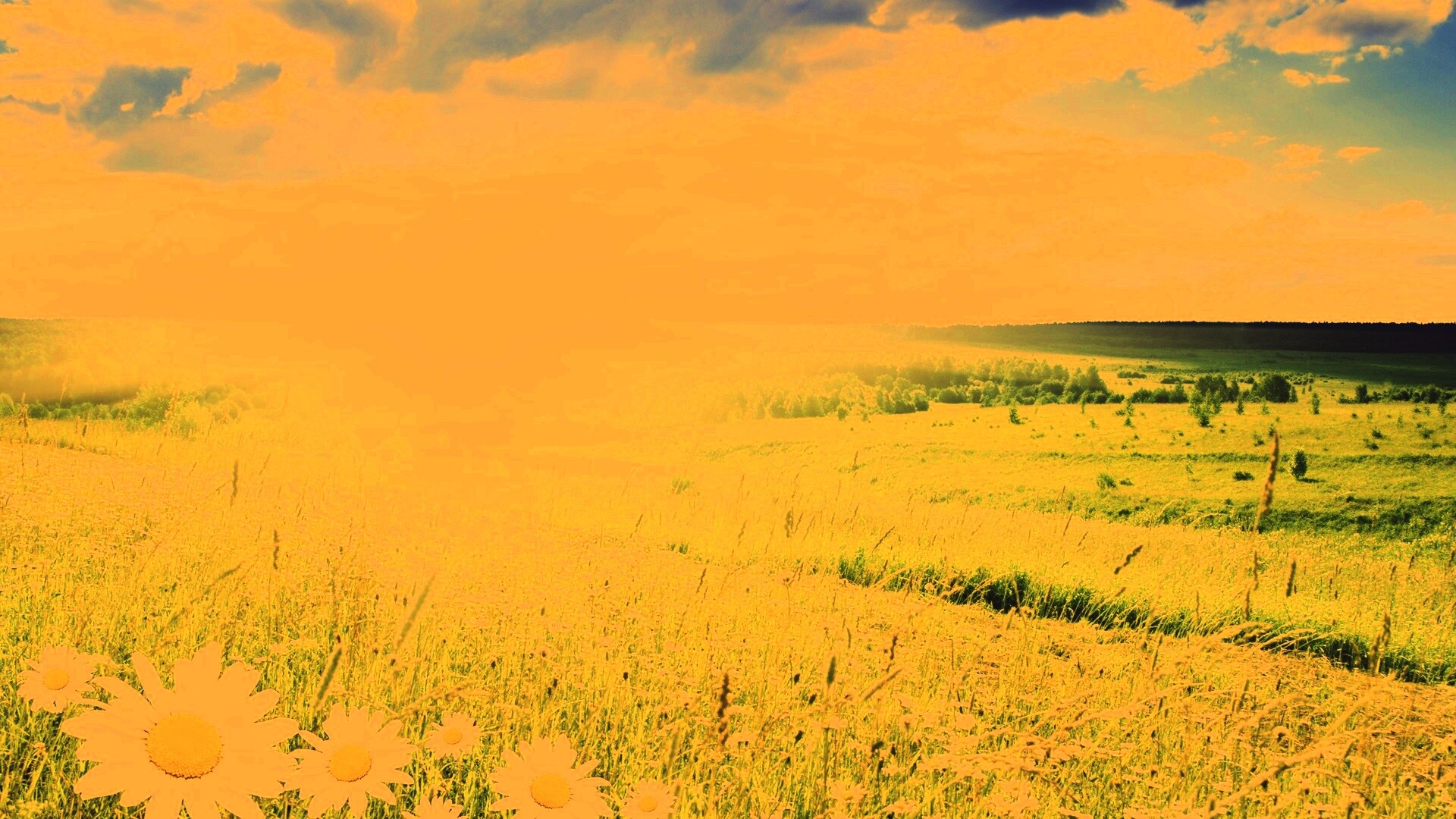 Летний восход обои