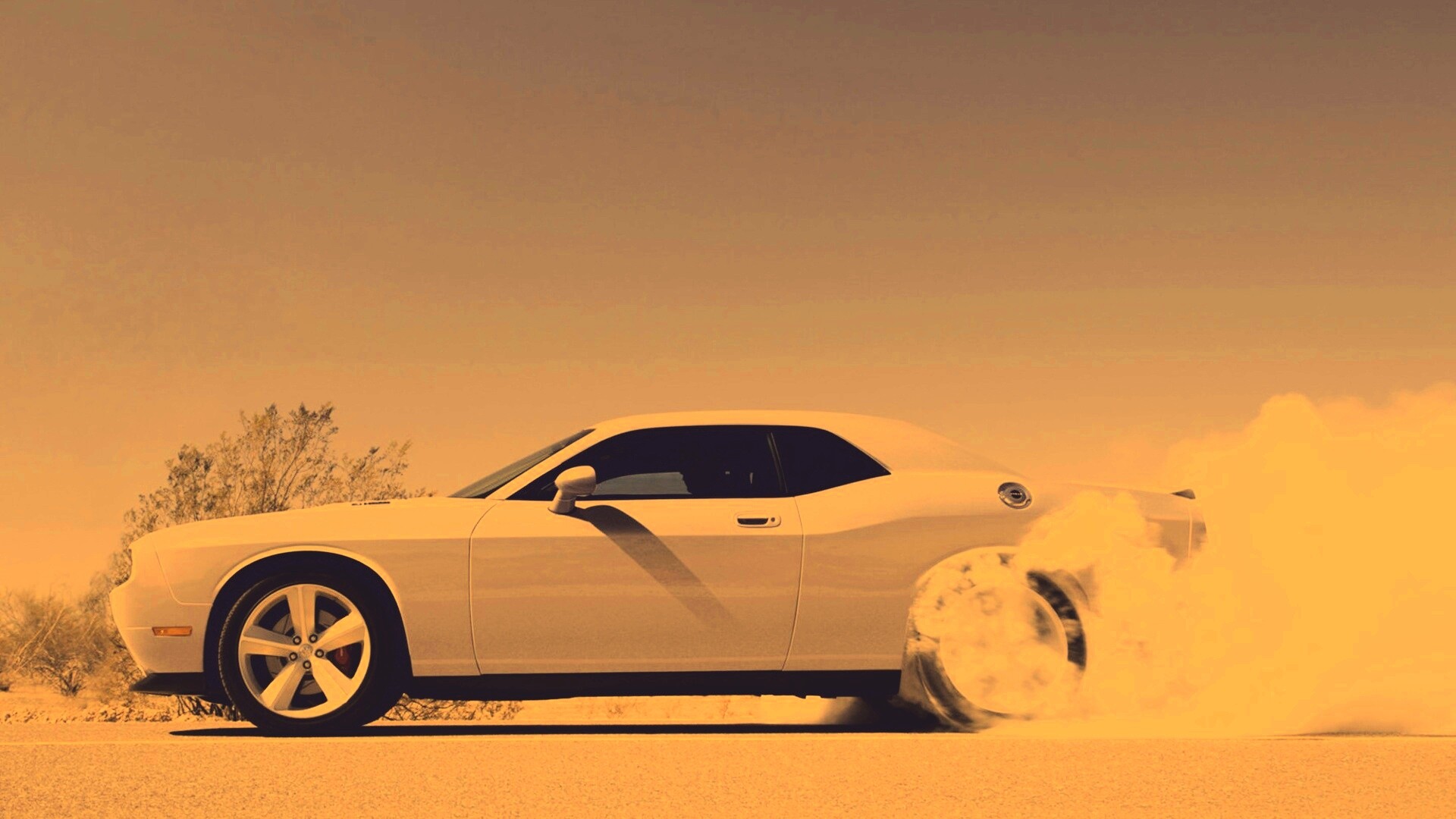 Стартующий Форд Мустанг обои