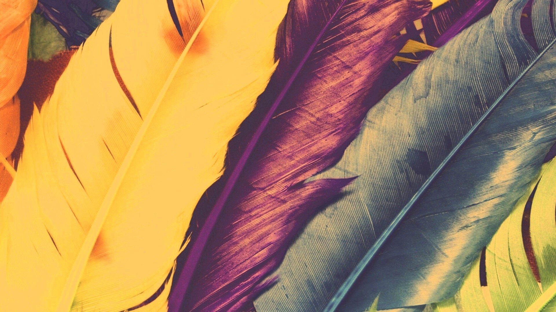 Разноцветные перья обои