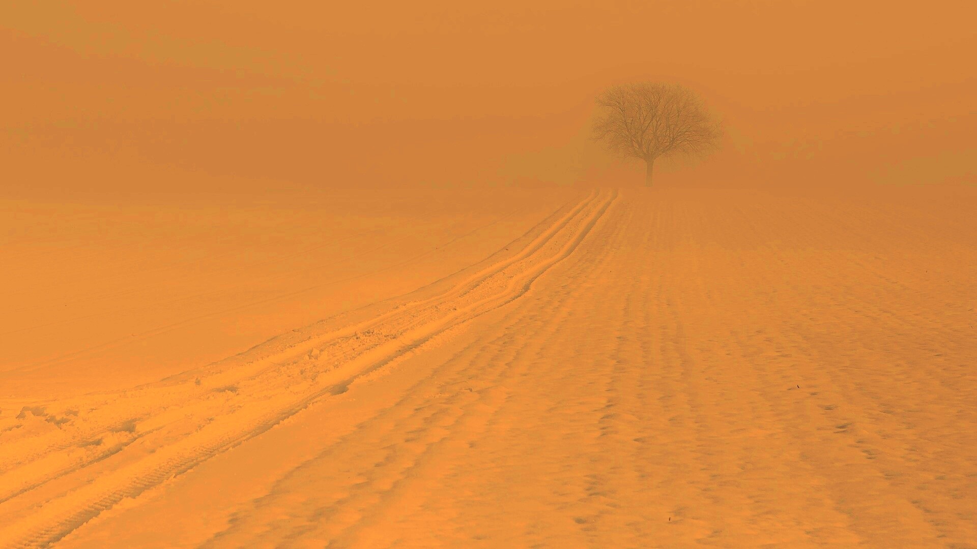 Заснеженное поле обои