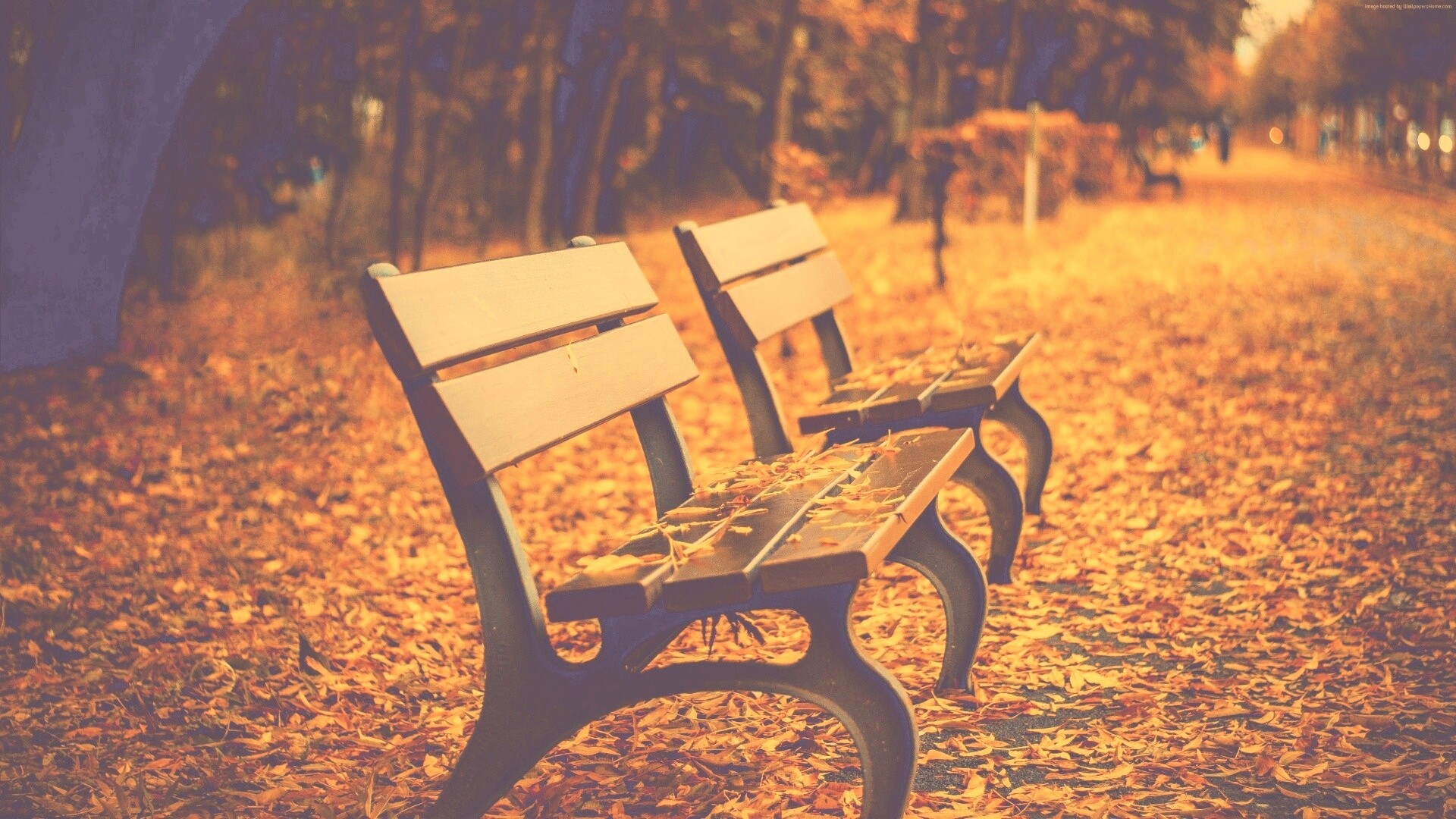 Лавочки в осеннем парке обои