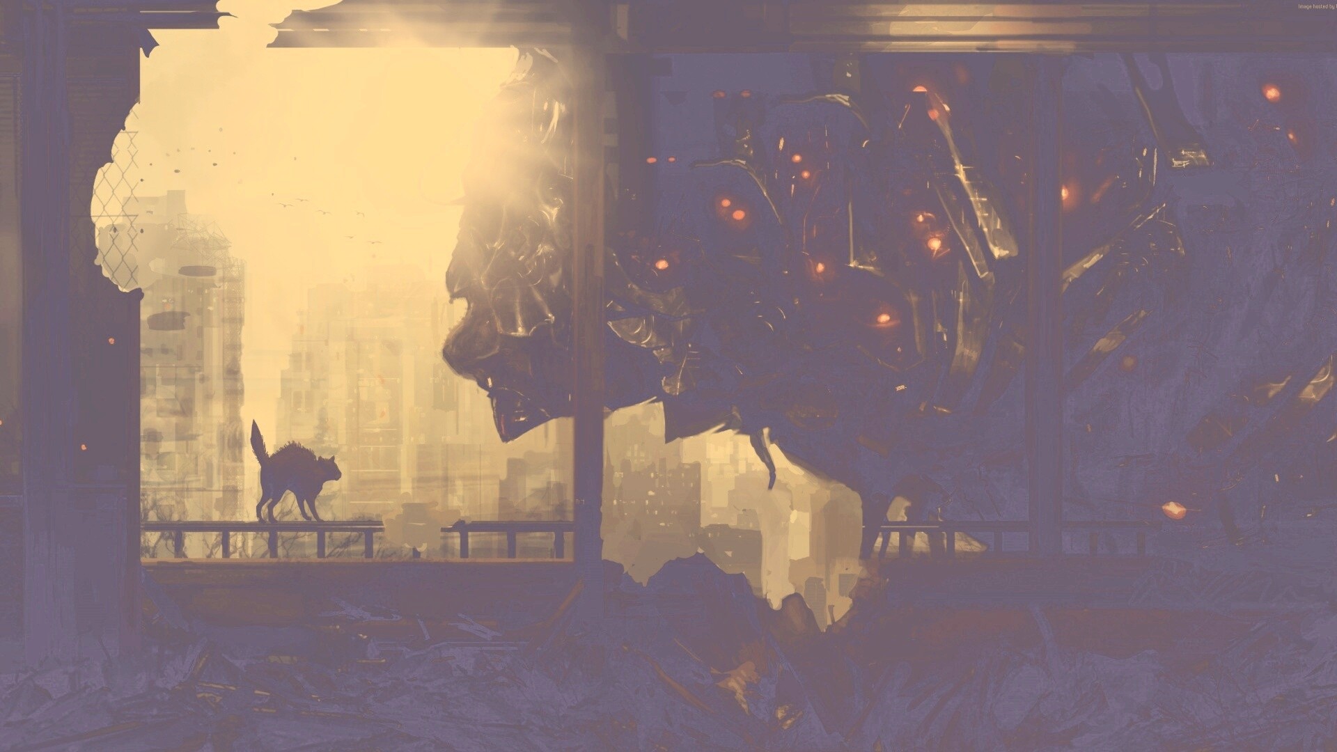 Кошкино удивление обои