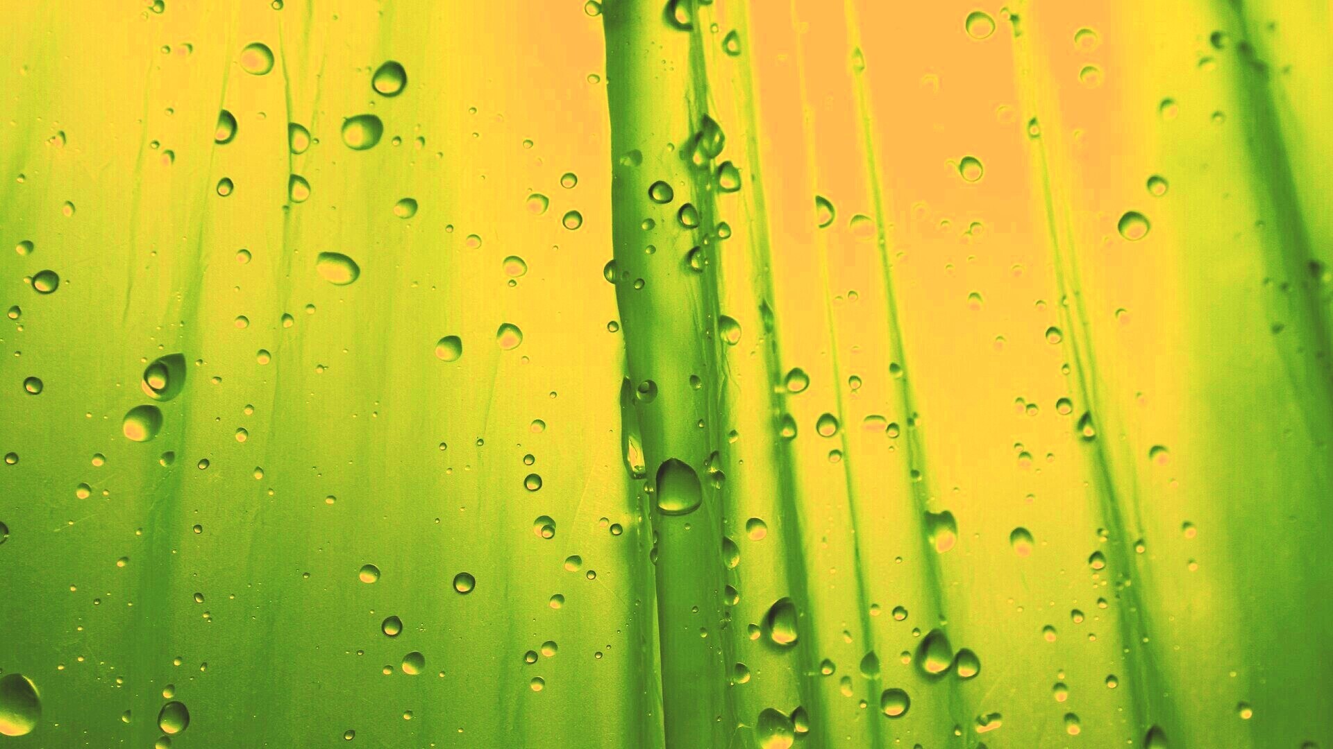 Капли на зеленом пластике обои