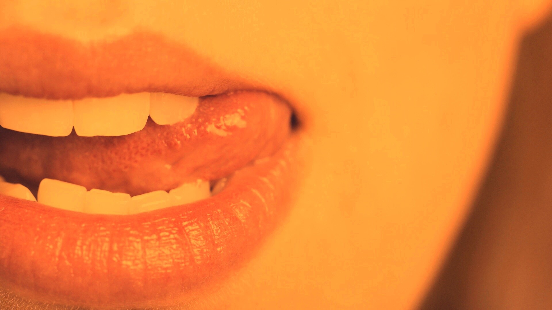 Сочные губки обои