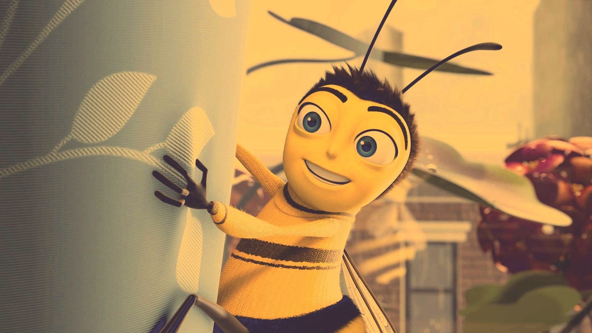 Бимуви обои