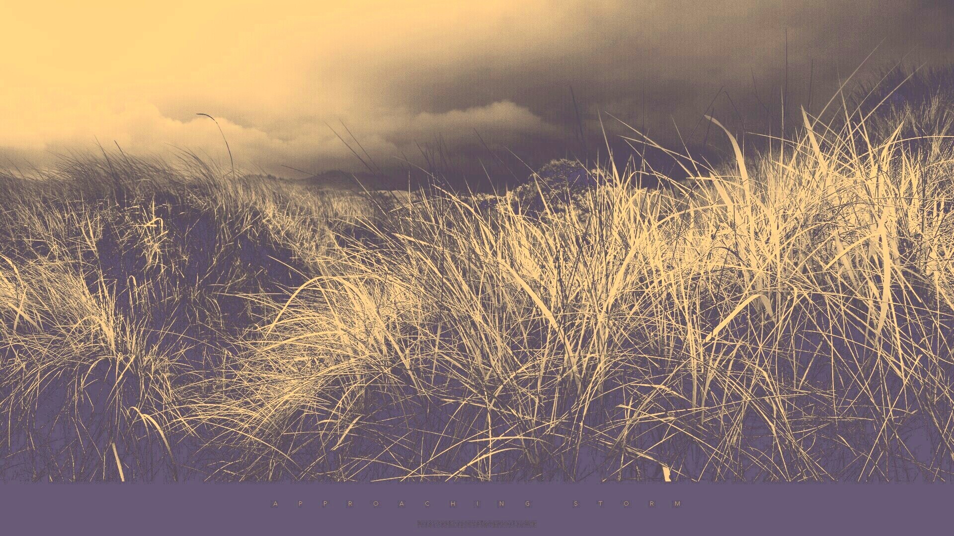 В ожидании шторма обои