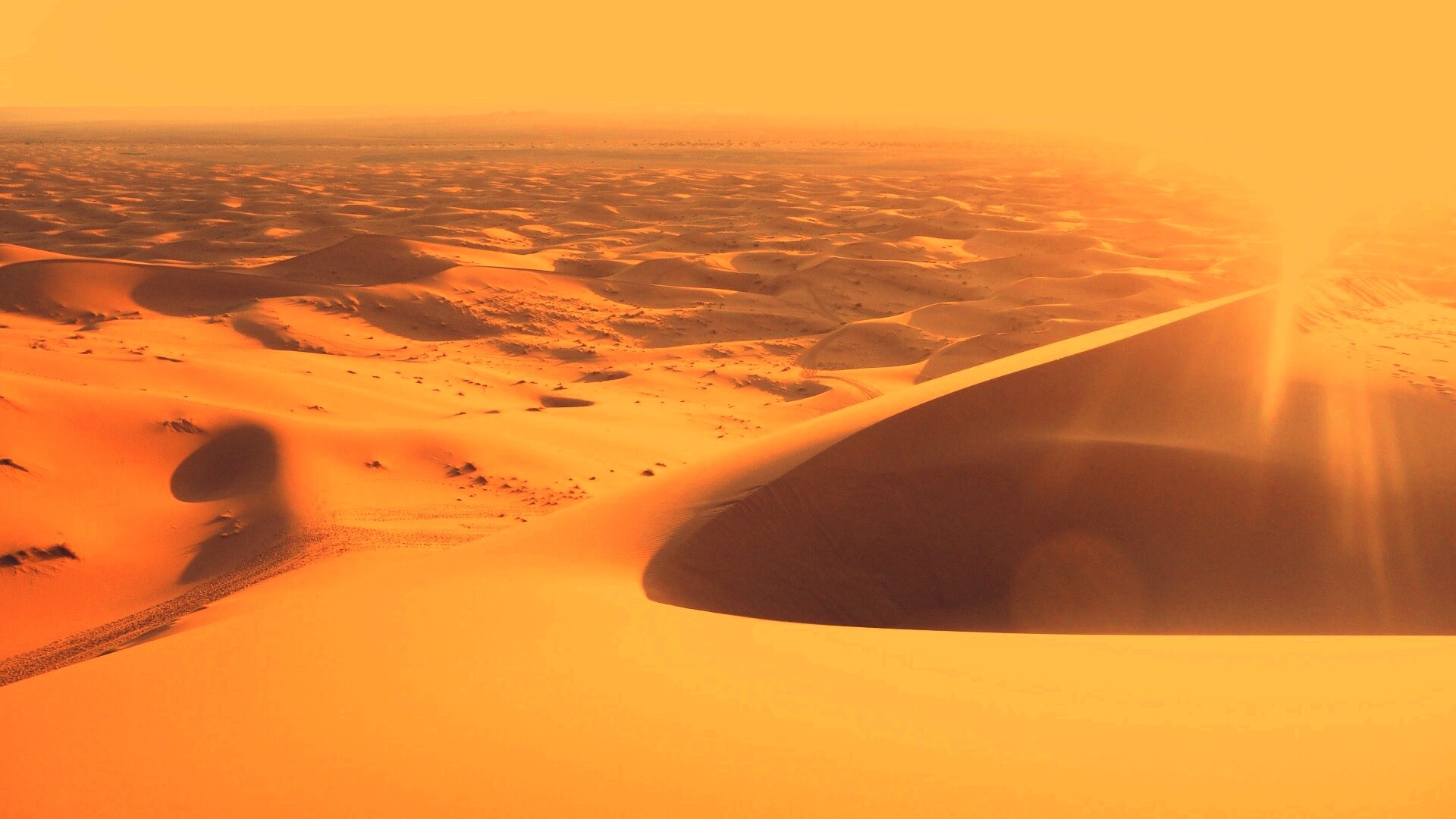 Солнечная пустыня обои