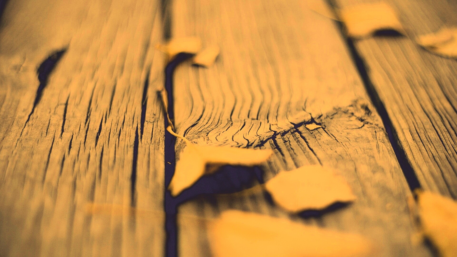 Листья на дощатом полу обои