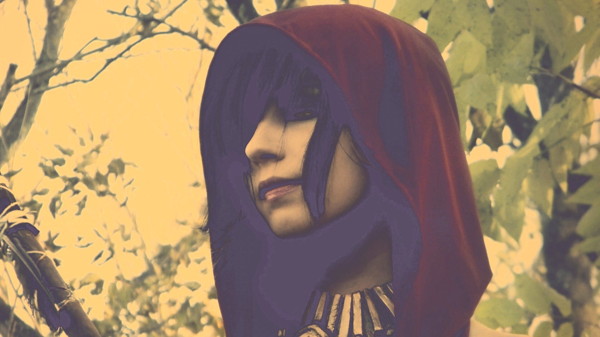 Косплей Морриган обои