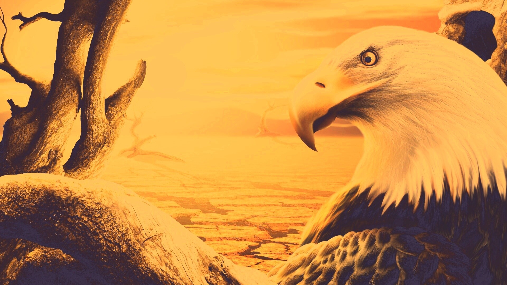 Нарисованный орел обои