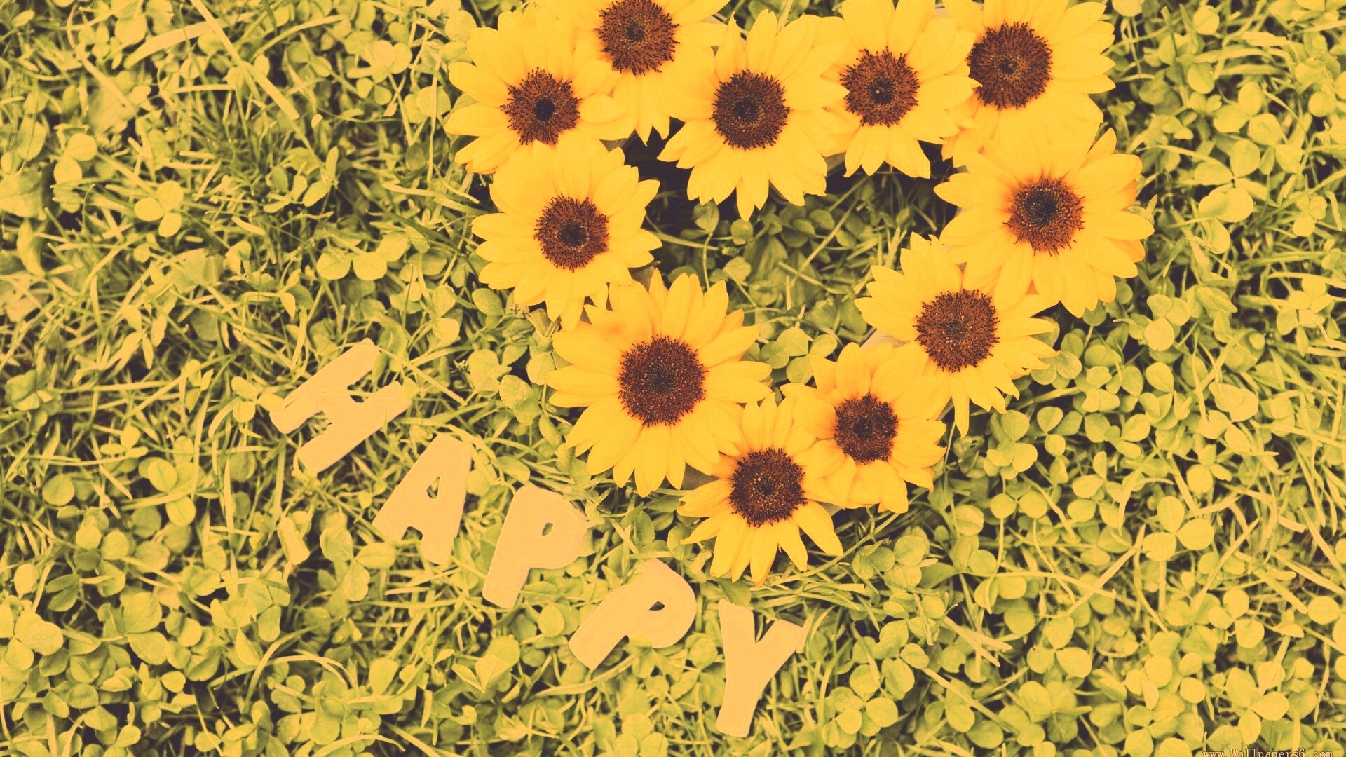 Радость обои