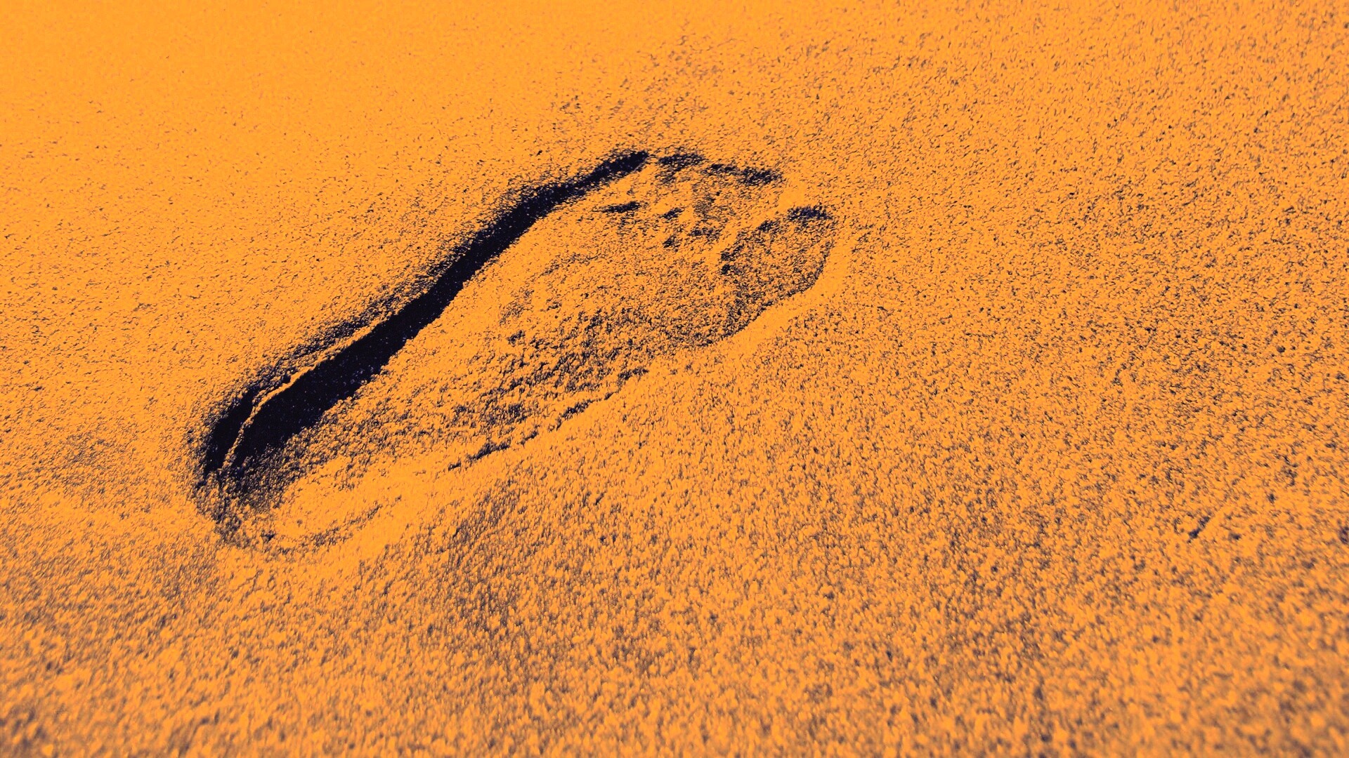 Отпечаток ноги обои