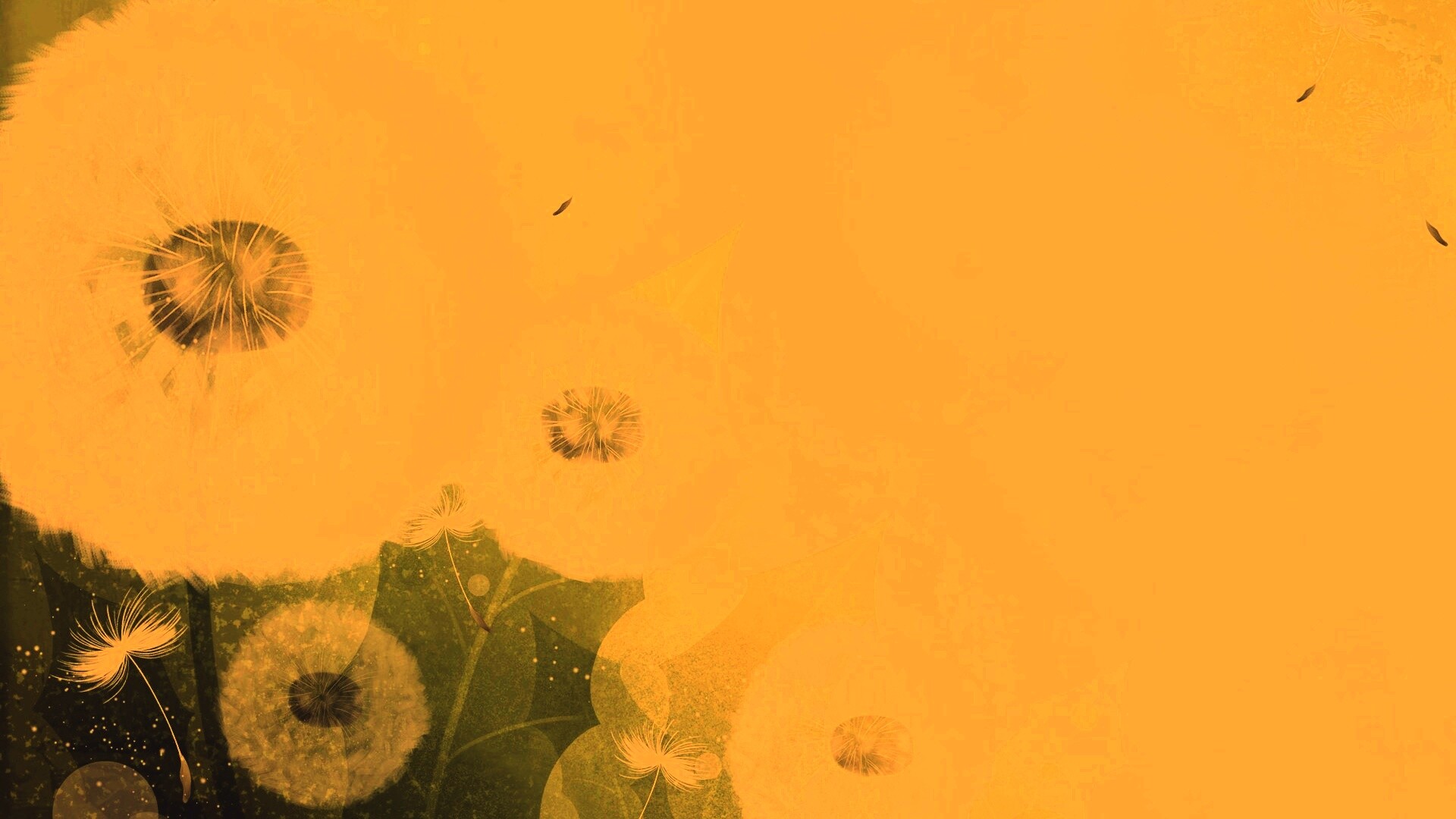 Одуванчики обои