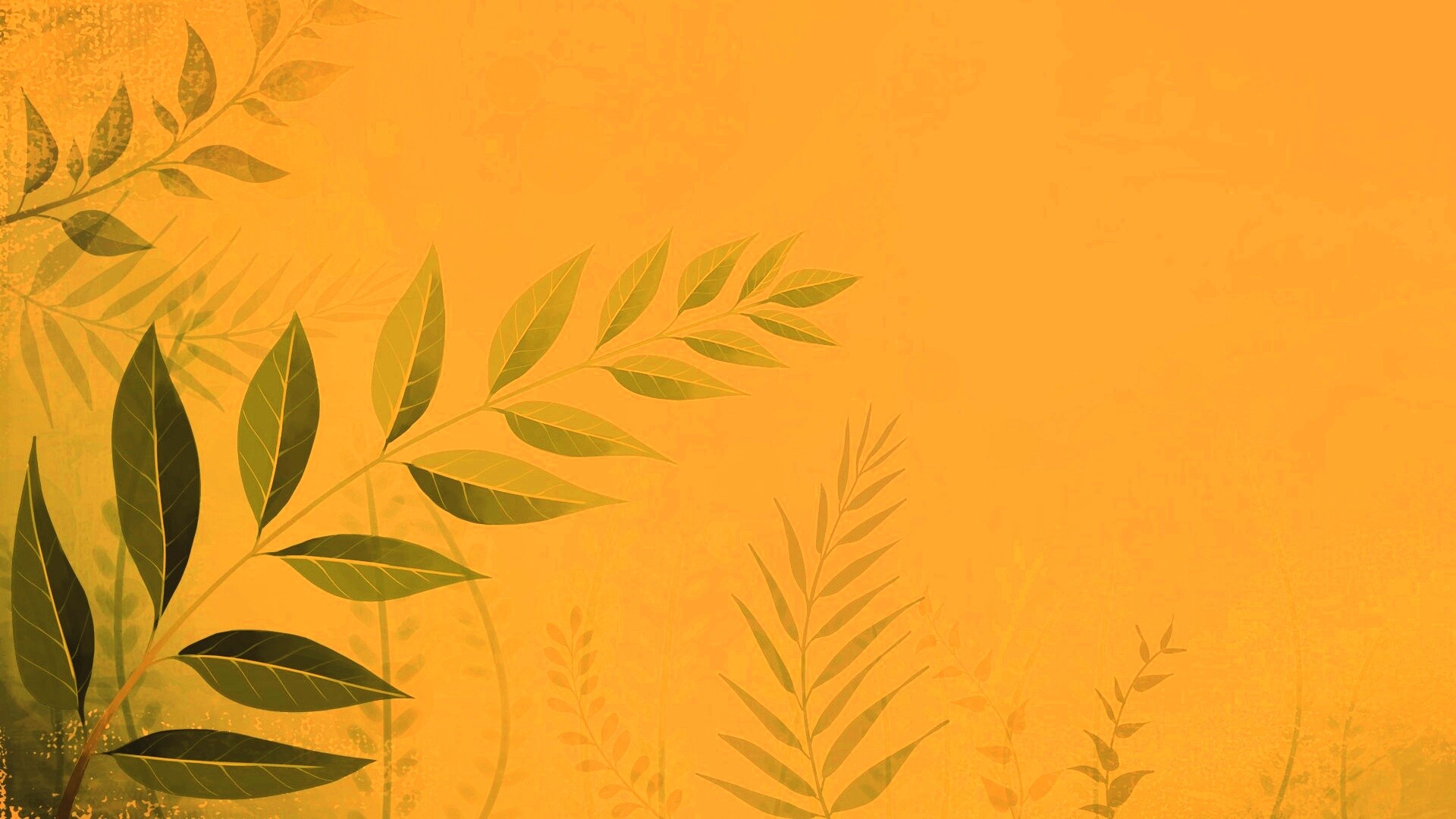 Веточка молодых листьев обои