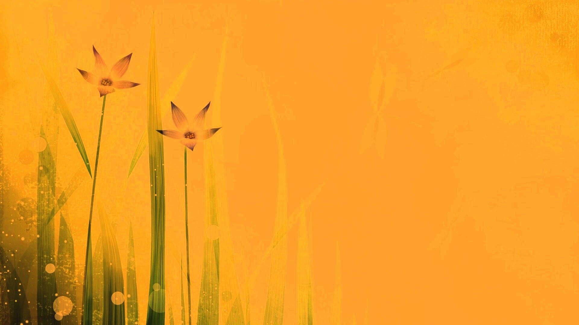 Векторные цветы обои