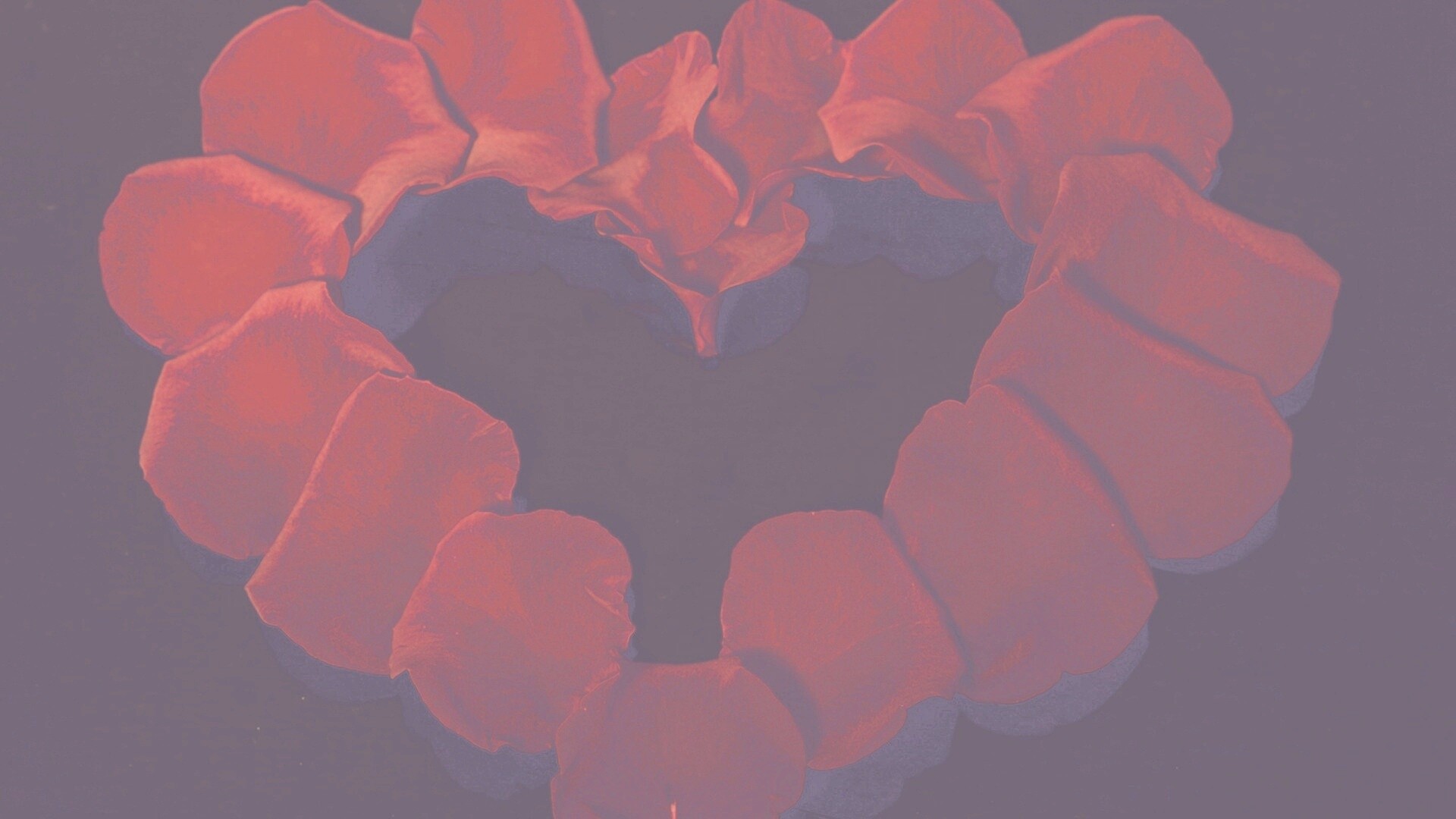 Красивое сердце обои