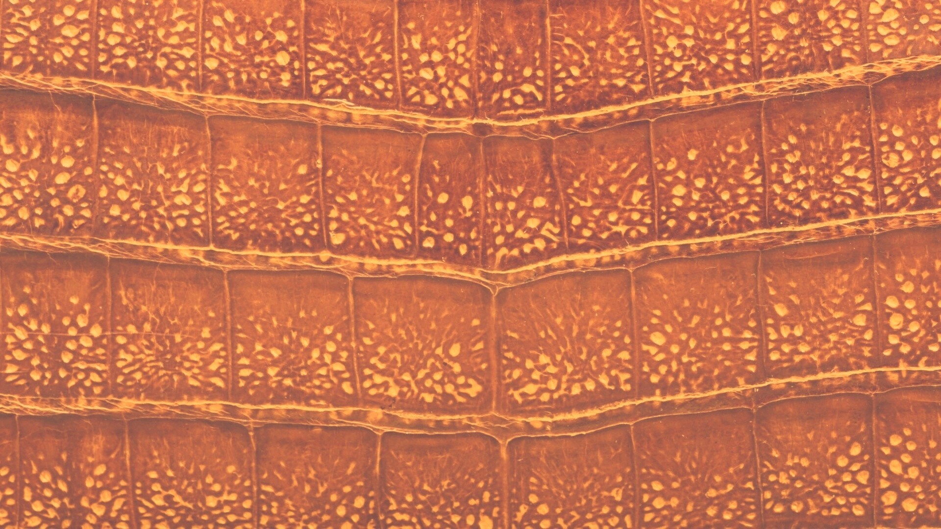 Текстура крокодильей кожи обои