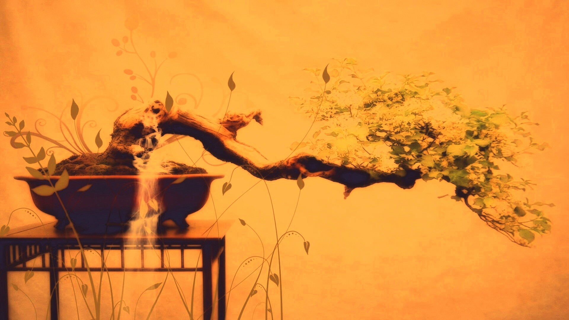 Карликовое дерево обои