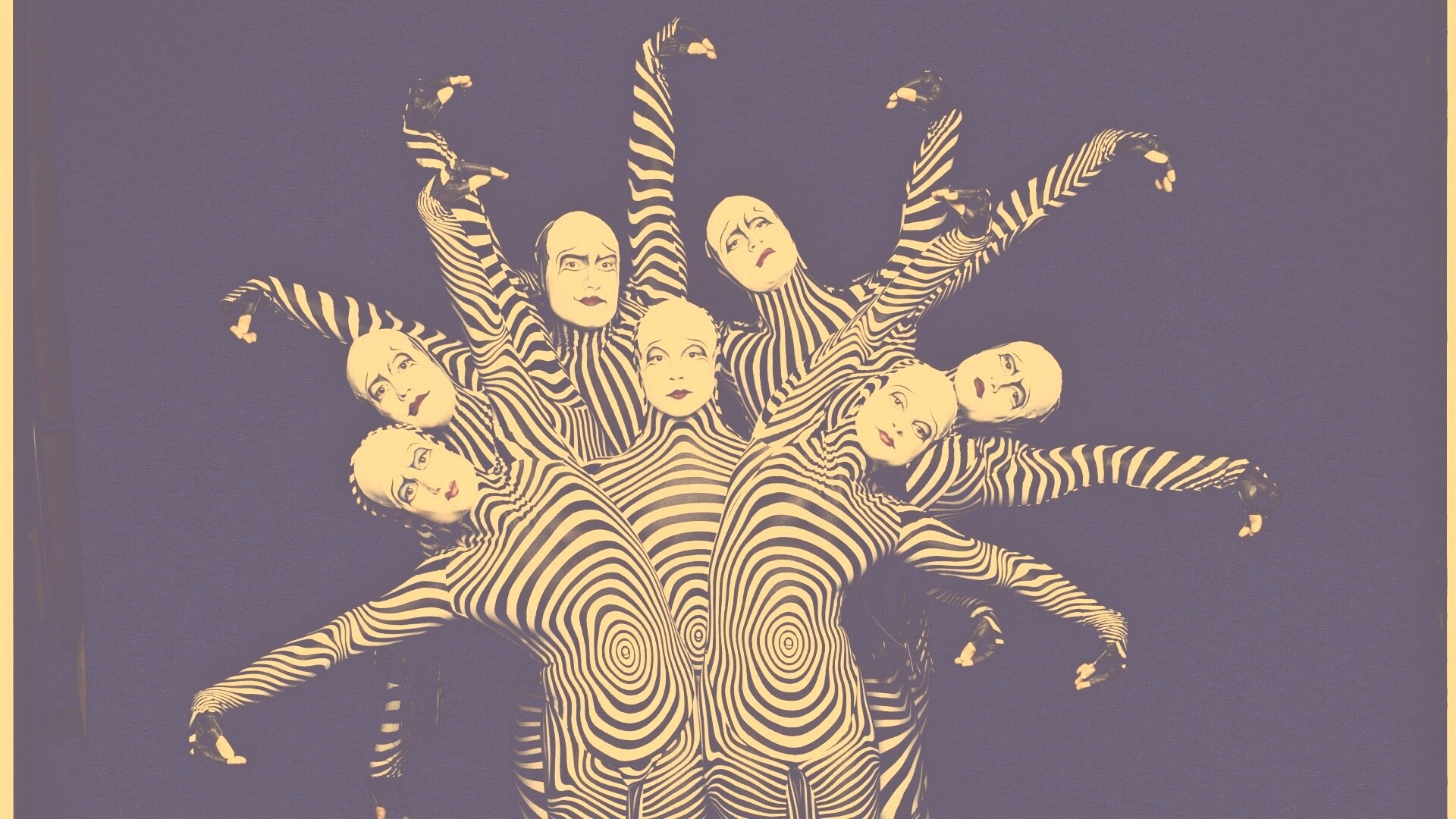 Зеброиды (актеры цирка дю солей) обои