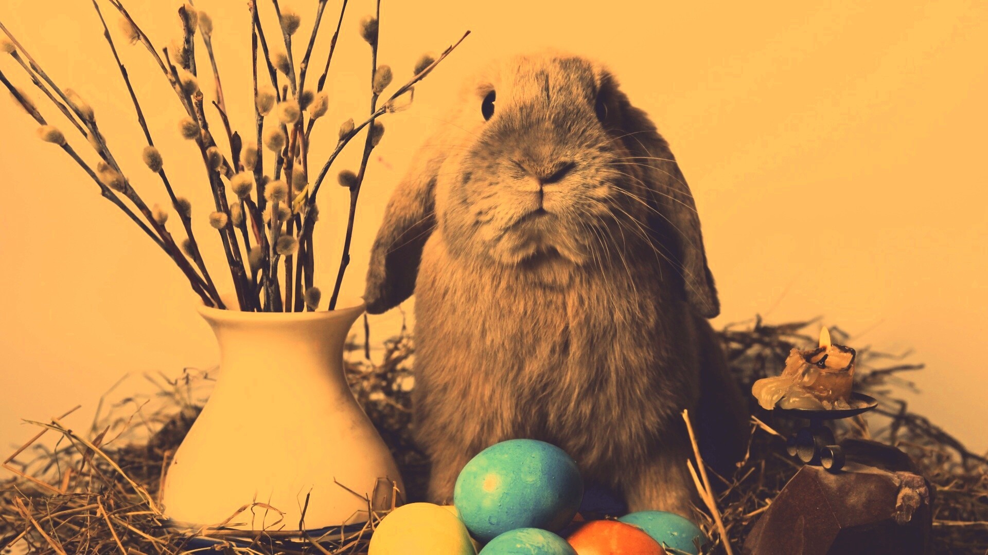 Пасхальный кролик обои