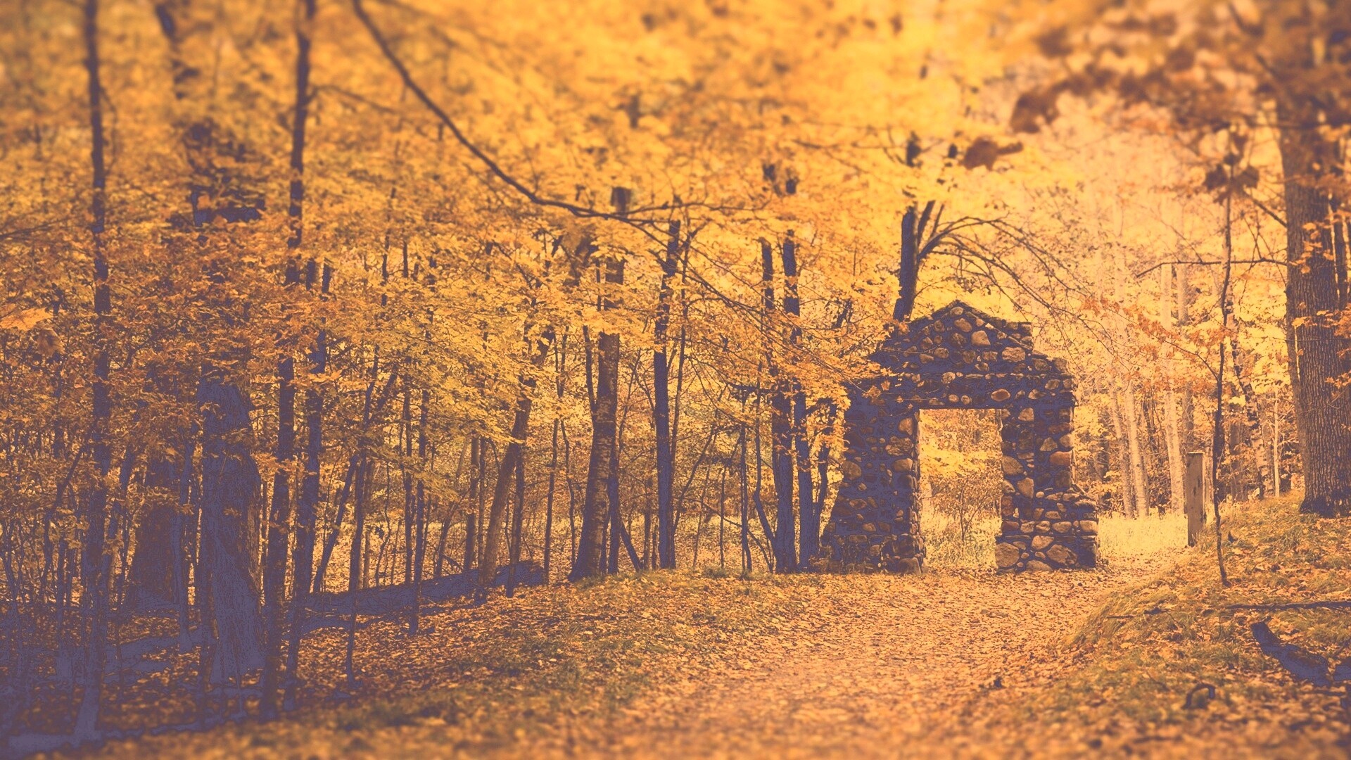 Каменная арка в осеннем лесу обои