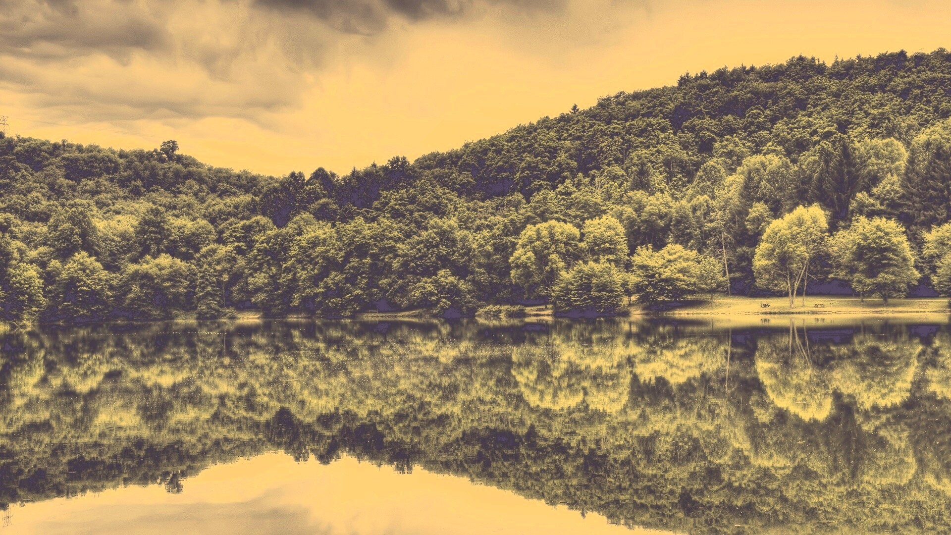 Лесной берег обои