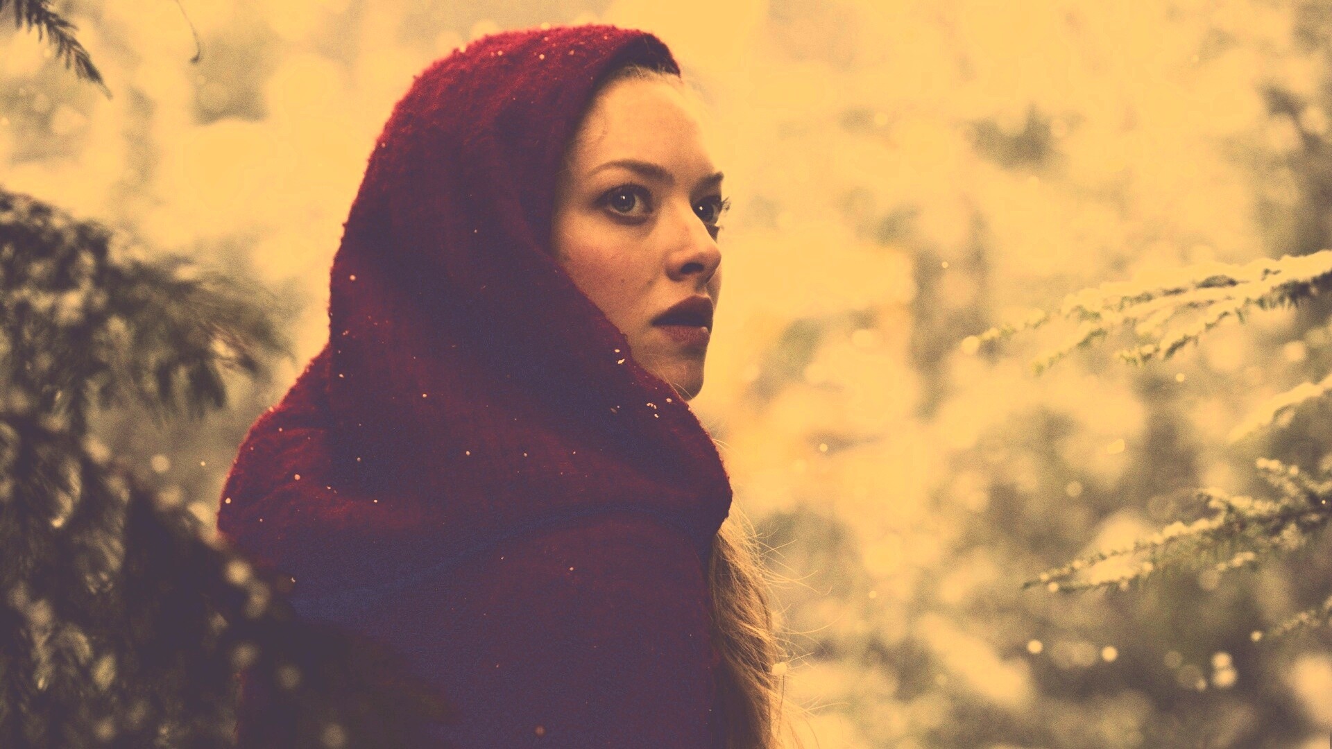 Amanda Seyfried in Red Riding Hood обои