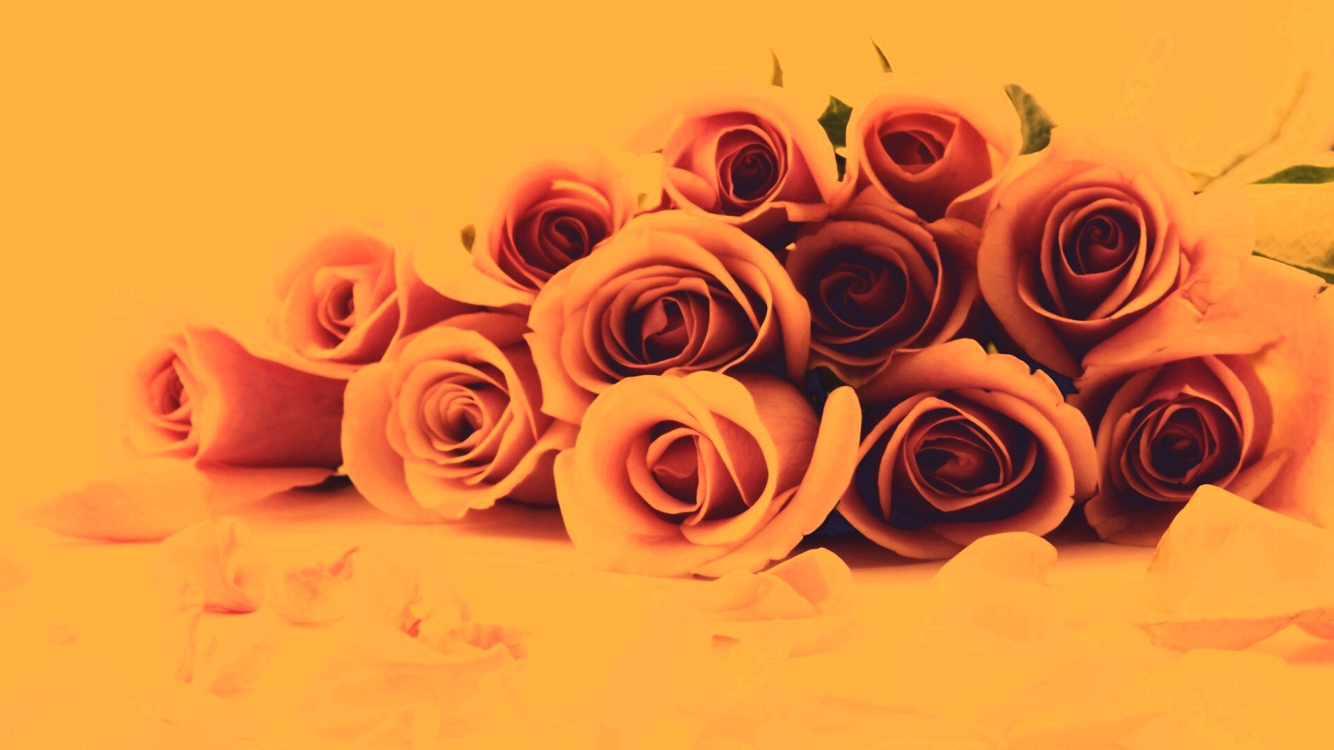 Букет роз обои