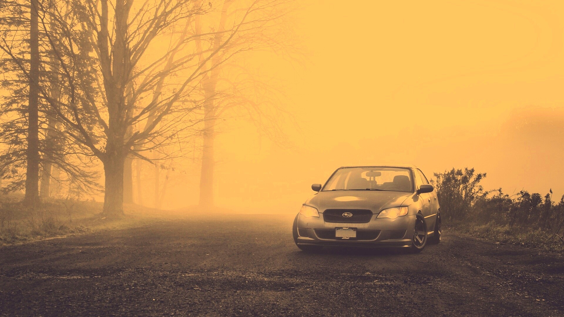 Лексус обои