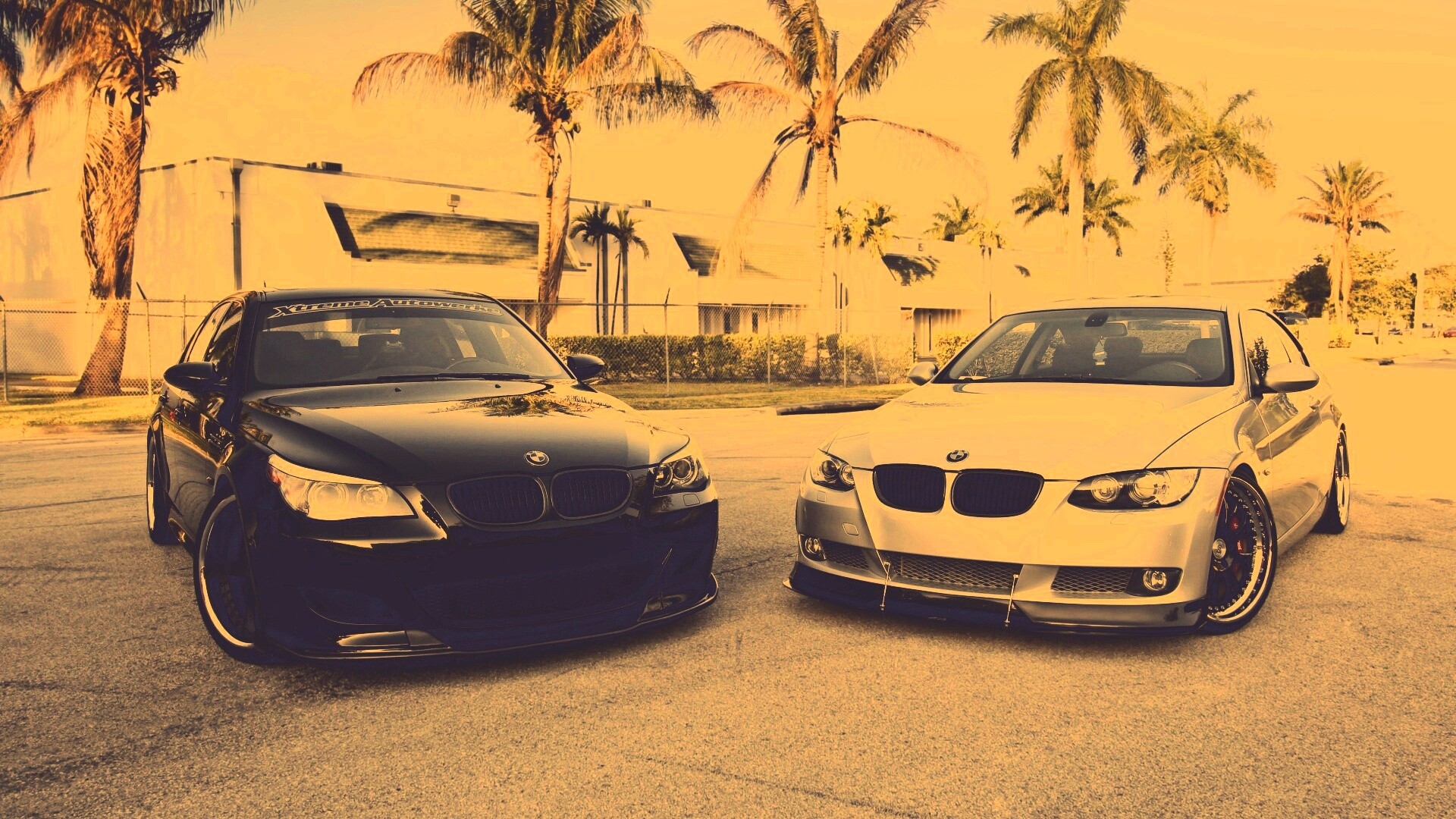 Две БМВ обои
