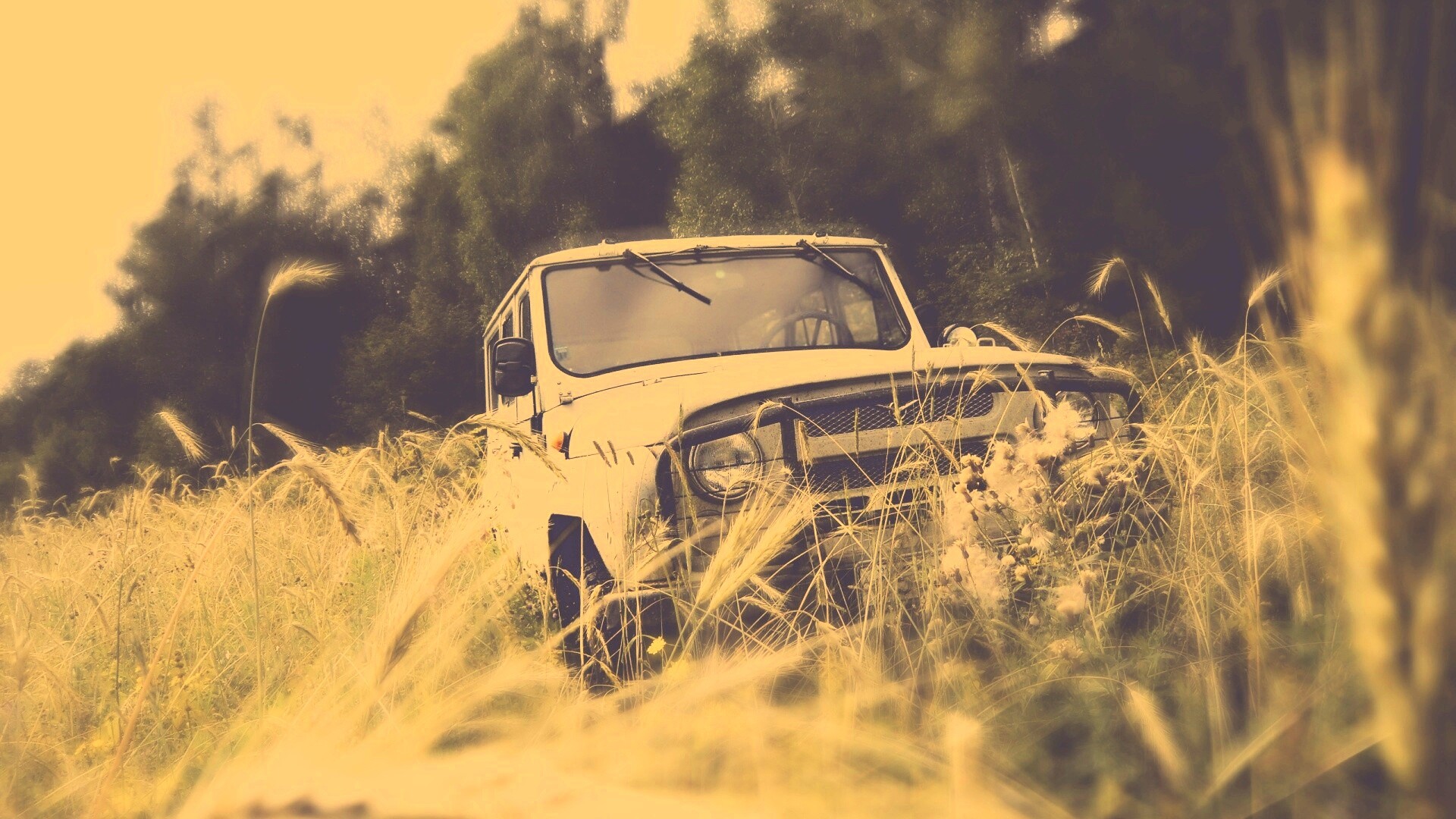 УАЗик в траве обои