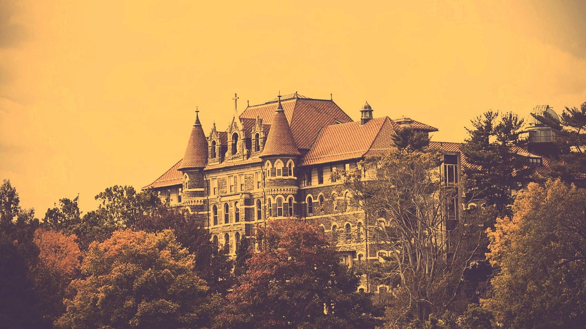 Колледж обои