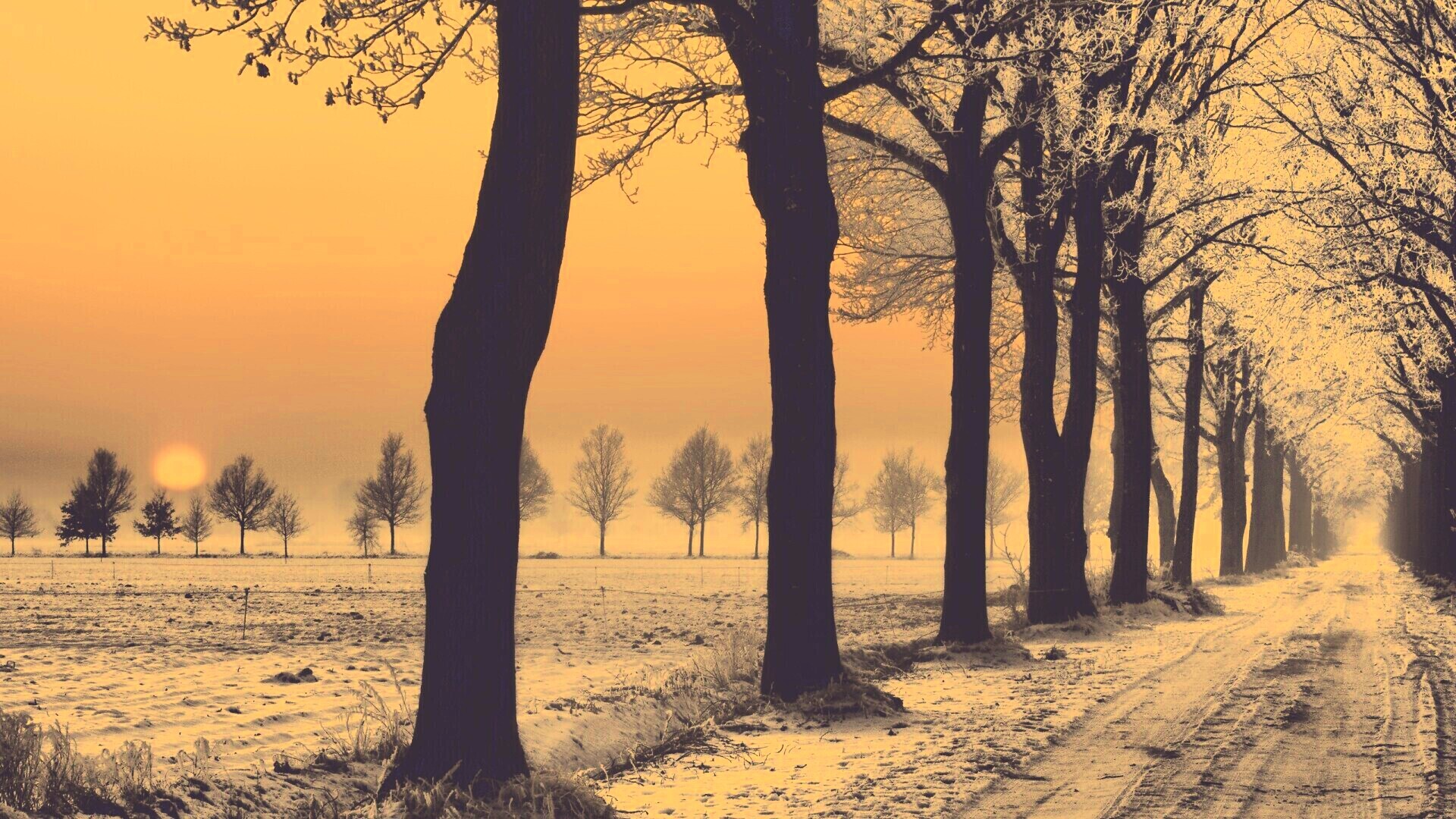 Морозное утро обои