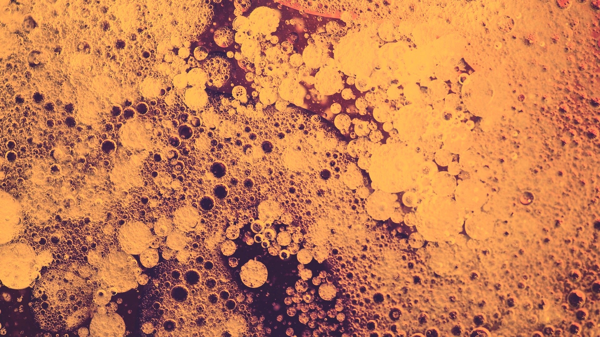 Реакция Вассермана в фиолетовых тонах обои