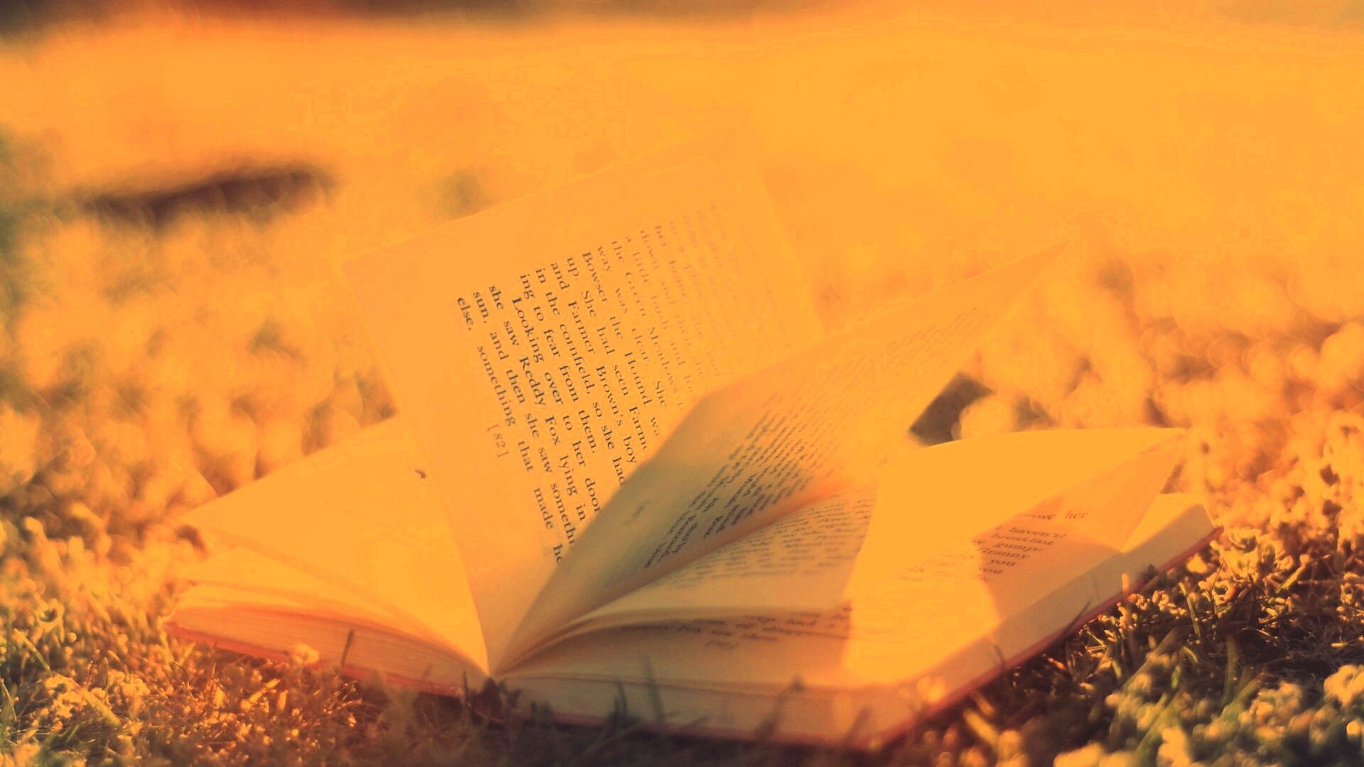 Книга в нежном свете обои