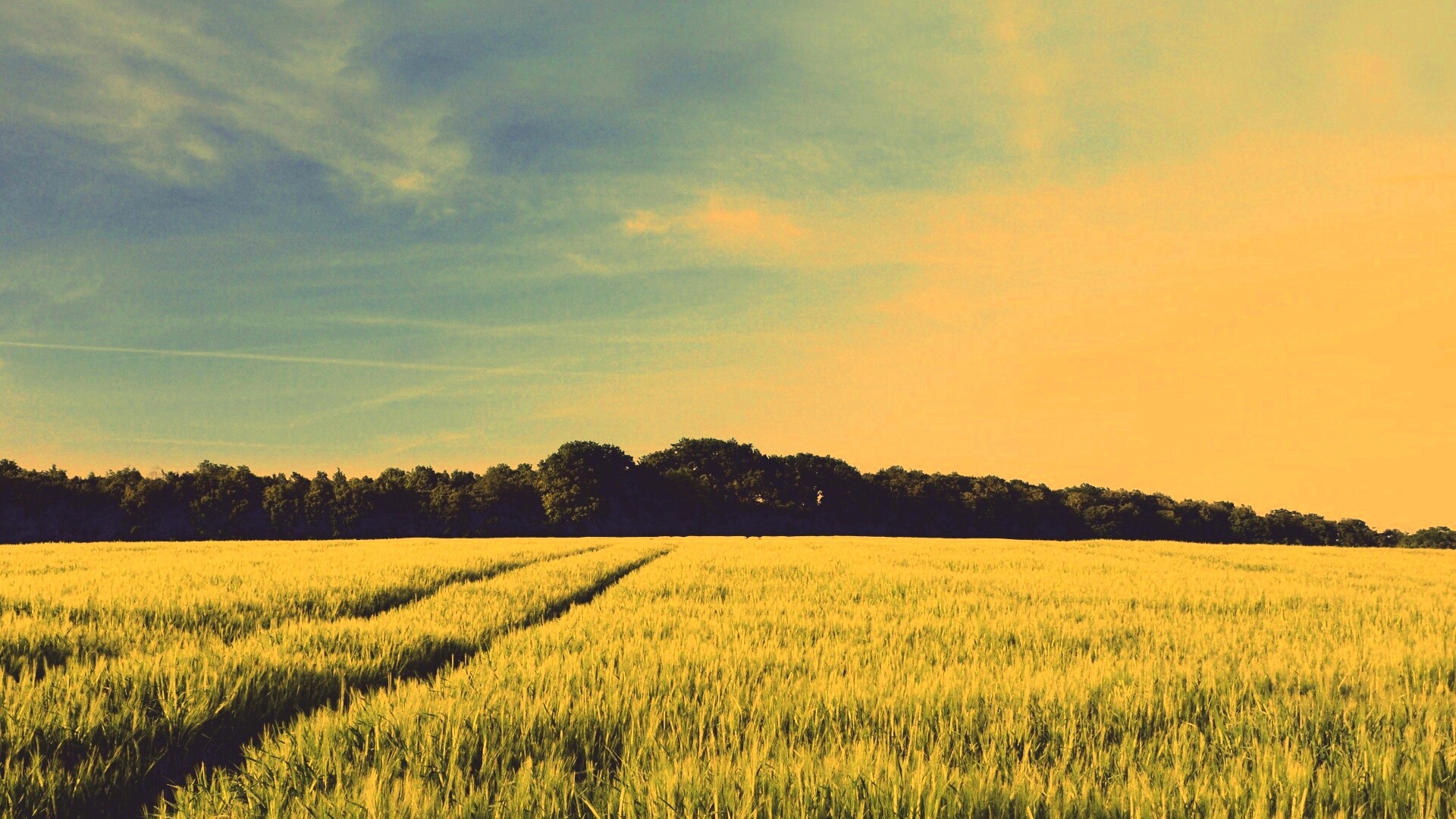 Следы колеи в поле обои