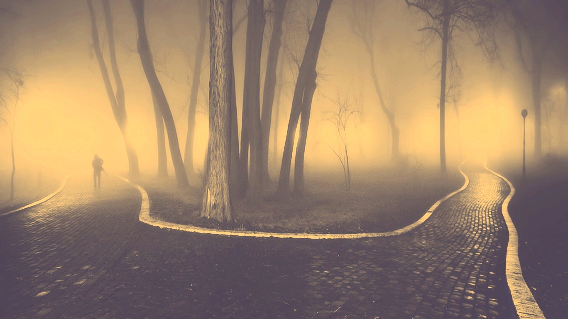 Пустынный лабиринт парковых дорожек обои