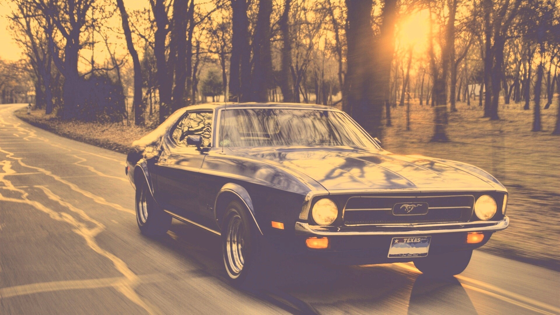 Мустанг обои