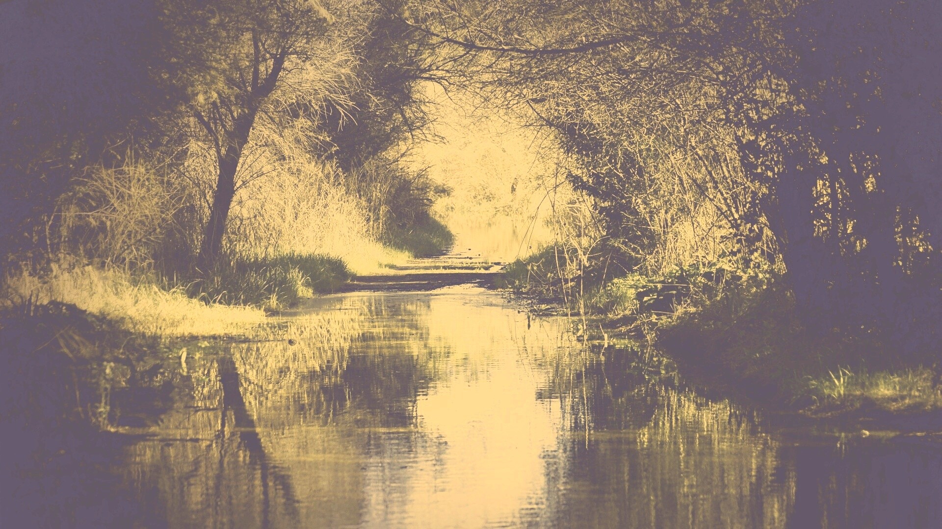 Лесная заросшая река обои