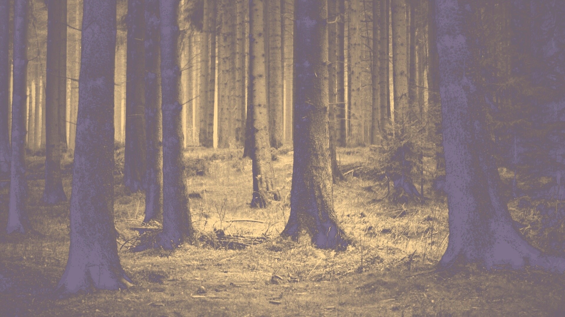 Темный лес обои