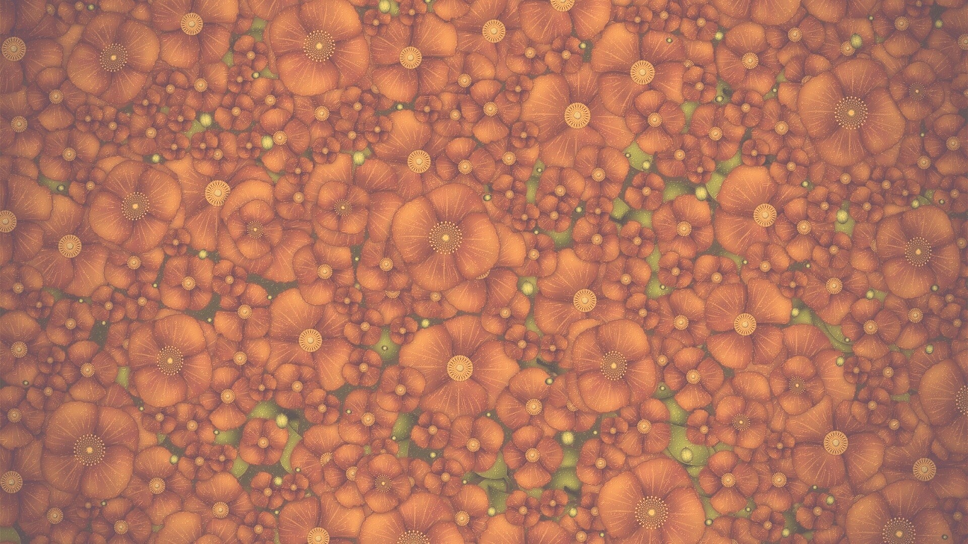 Рисунко с красными цветами обои