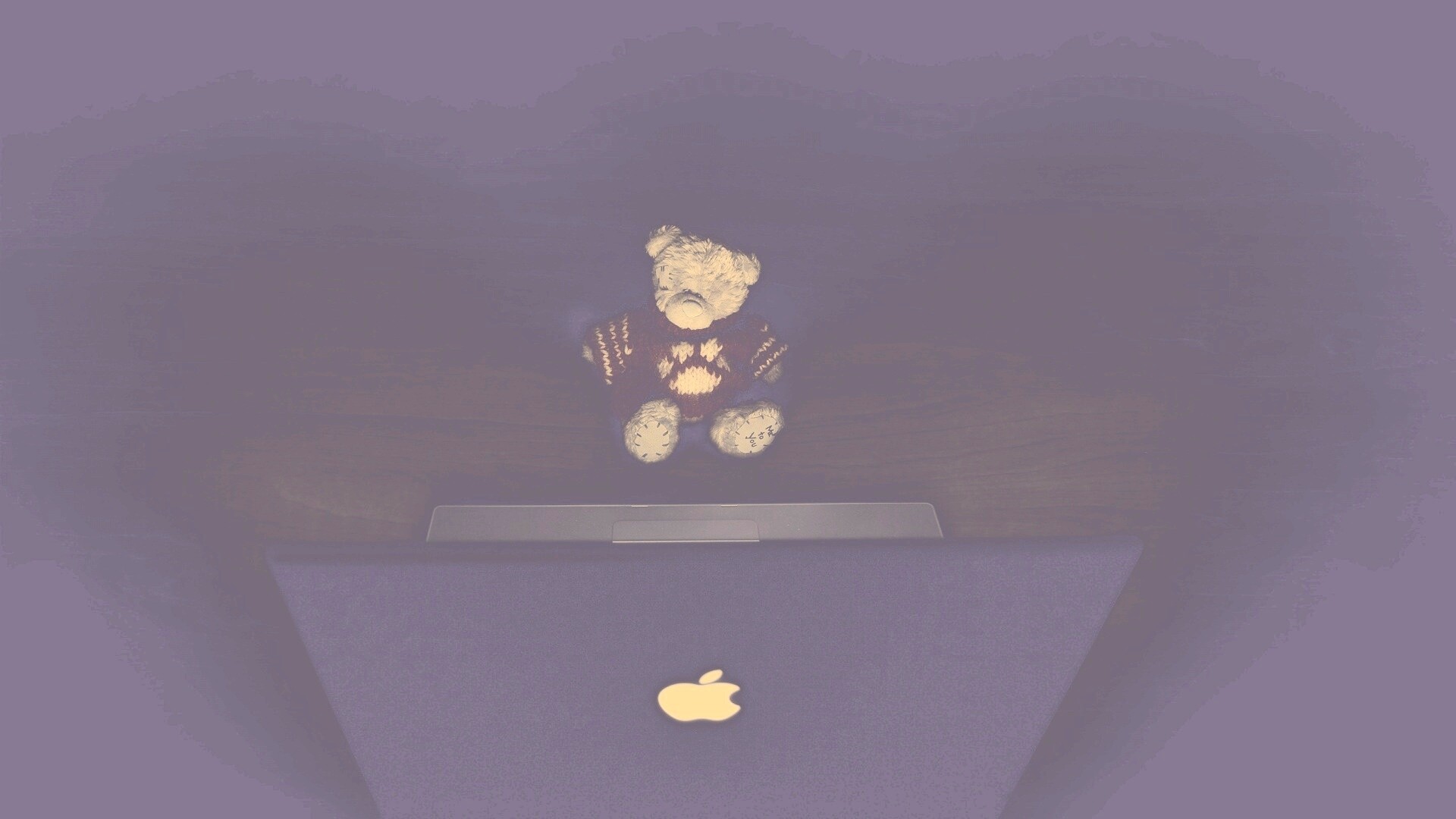 Плюшевый мишка за ноутбуком обои