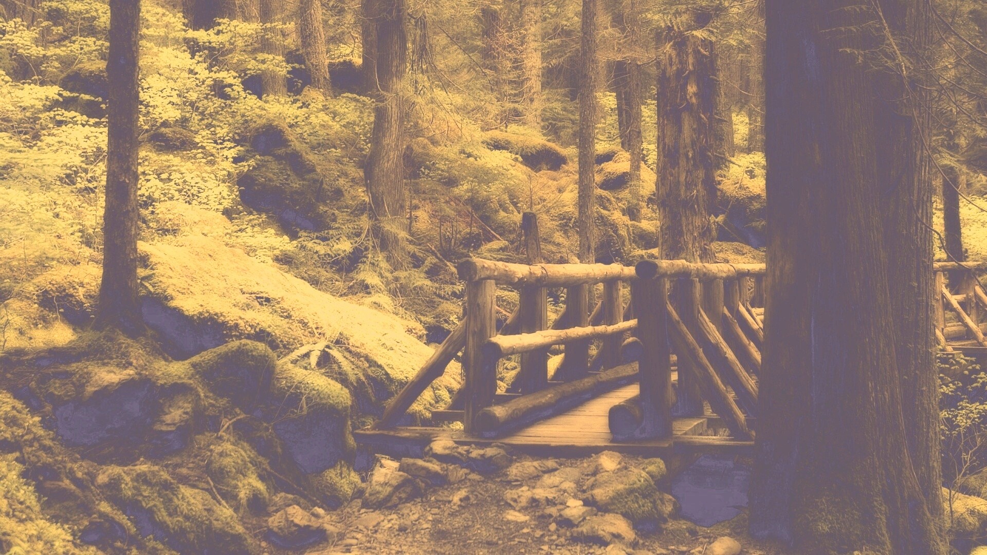 Бревенчатый мост в лесу обои