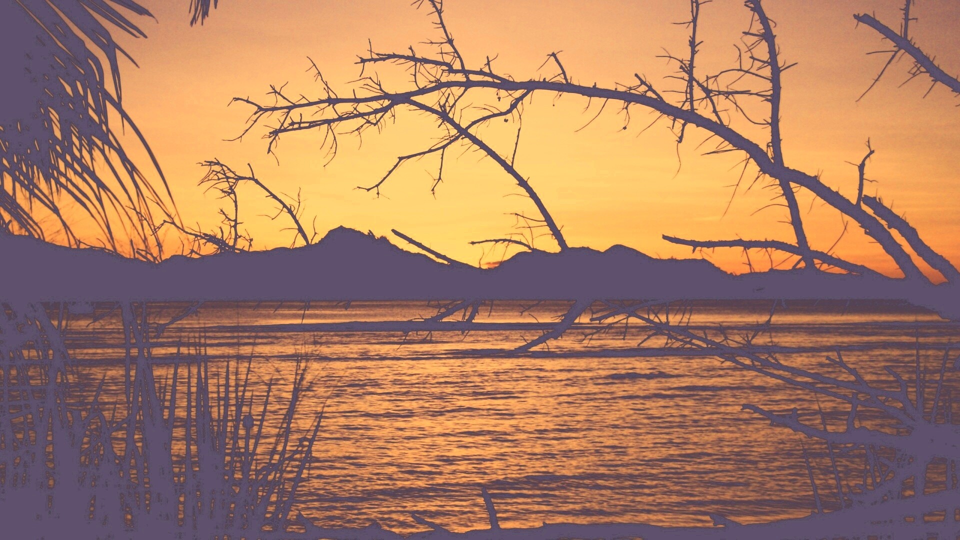 Тропический закат обои