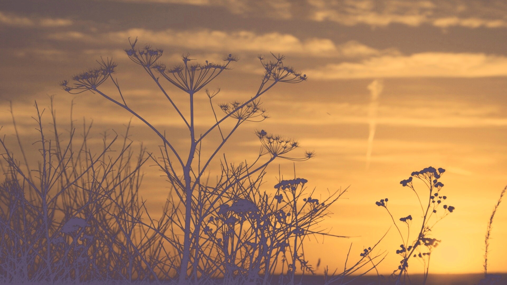 Степной закат обои
