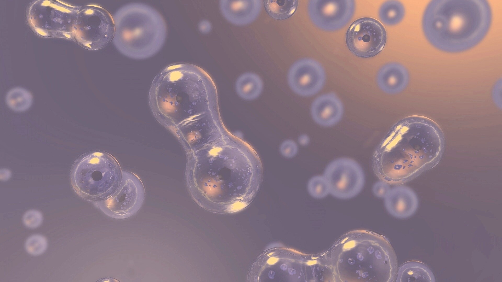 Деление обои